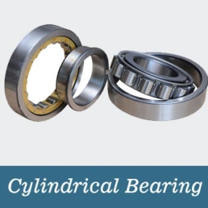 Cylindrical Bearing